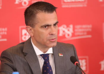 Ђорђе Милићевић: Помоћ дијаспоре је важна да би створили основ за будуће министарство