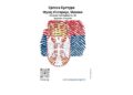 Четири месеца српске културе у Мајамију